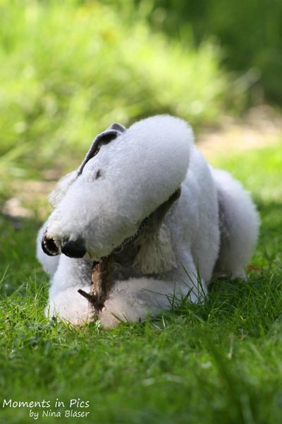 2010-05-29 Alanna und Svet (25).jpg - Airis Blue Volshebny Svet - 2010-05-29